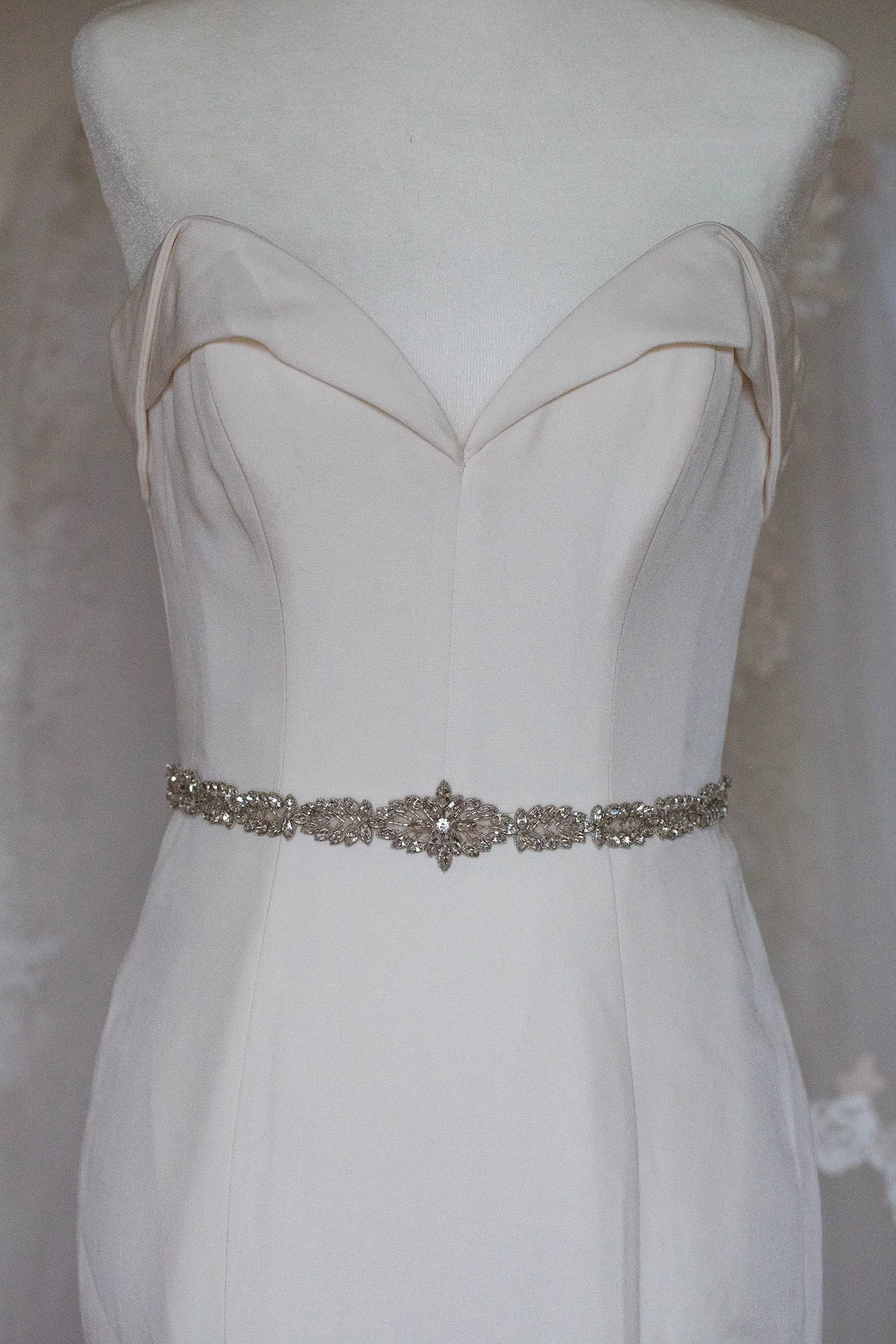 ASTER BELT