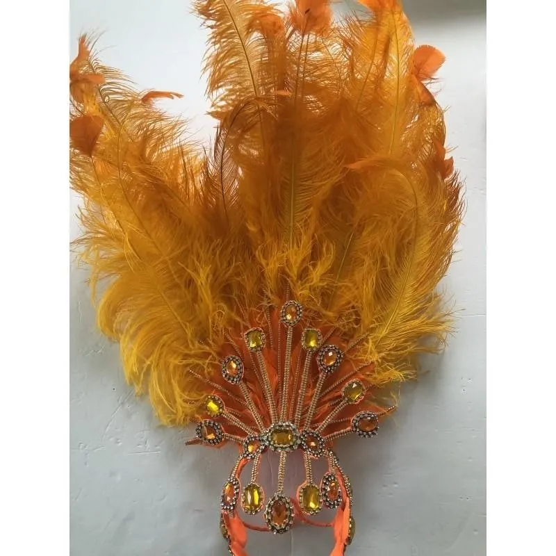 Citrus Delights Plumes Bikini Samba Costume
