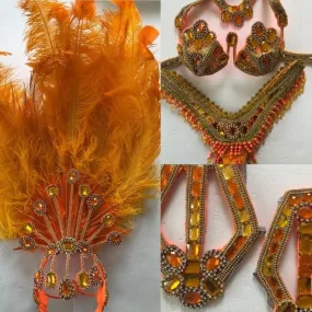 Citrus Delights Plumes Bikini Samba Costume
