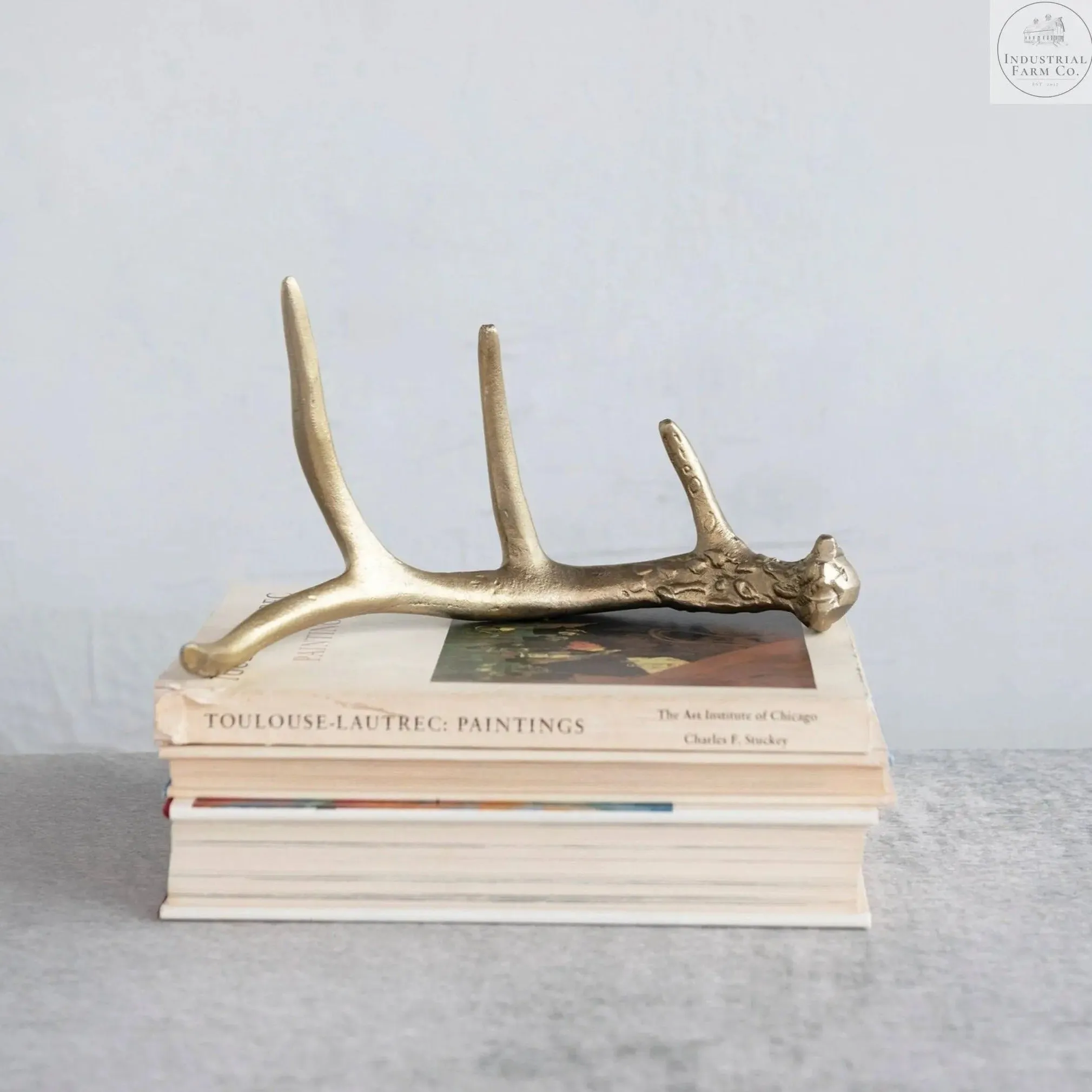 The Toulouse Gold Decorative Antler